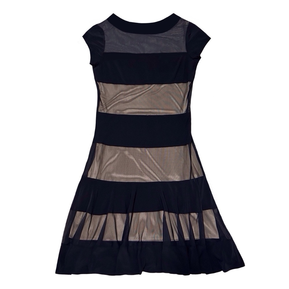 Vintage Sheer Navy and Nude Striped Dress
